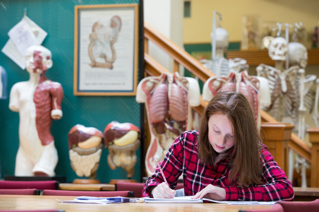 Anatomy museum studying image