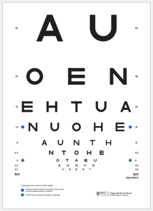 4m double-sided logarithmic eye chart measuring 32 x 45cm - front