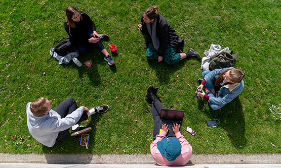 Overhead view of five young people sitting on grass together in a circle