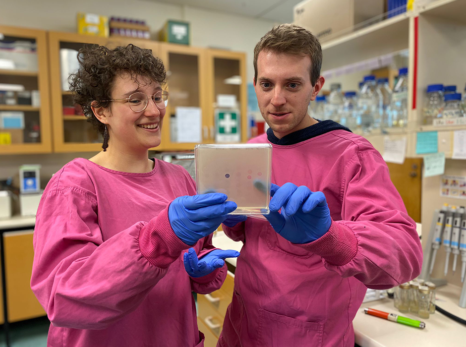 Dr Nils Birkholz and student Sarah de Roode at work in the Department of Microbiology and Immunology Fineran lab.