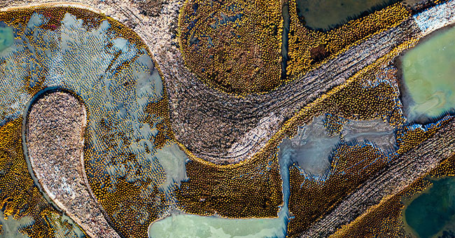 st clair wetlands via drone 