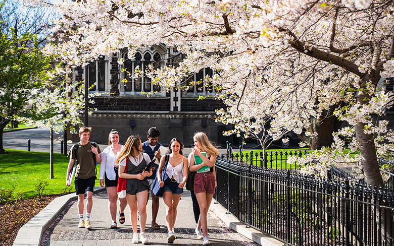 A group of young people walking along a paved outdoor path, beneath a tree covered in blossom.