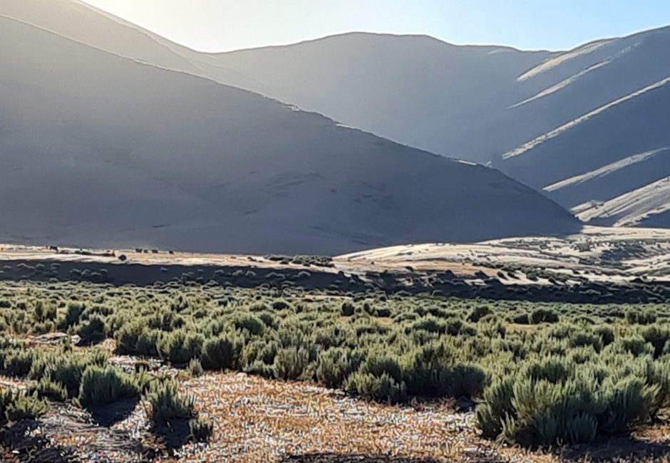 Buffalo Valley fault scarp, central Nevada.