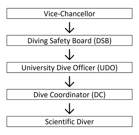 University dive structure diagram top to bottom - Vice-Chancellor, Diving Safety Board, University Dive Officer, Dive Coordinator, Scientific Diver