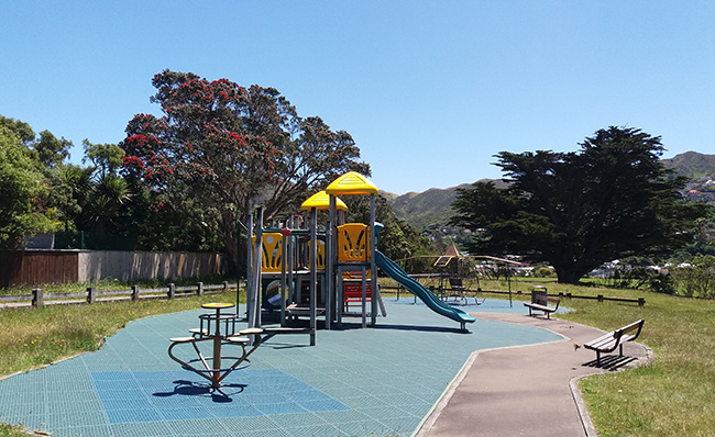 9 January 2018 Shade Shortage In Wellington Playgrounds Otago