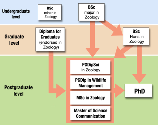 phd zoology courses