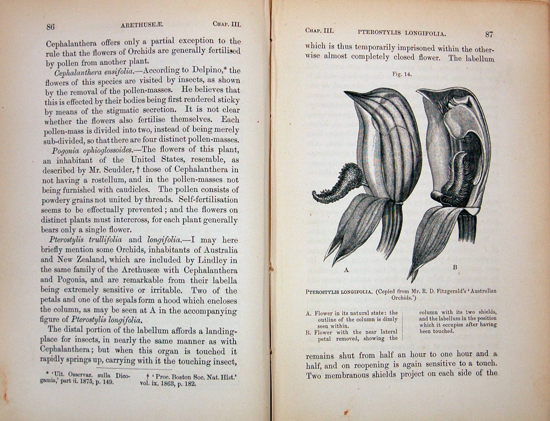 The Complete Work of Charles Darwin Online